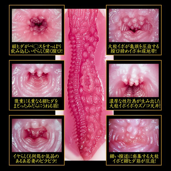 NPG-2代目完熟名器物語-募集若妻-葵司