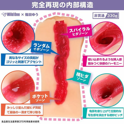 SSI-日本の名器-篠田優