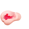 極彩 Uterus 小紅帽的子宮-深淵柔軟版